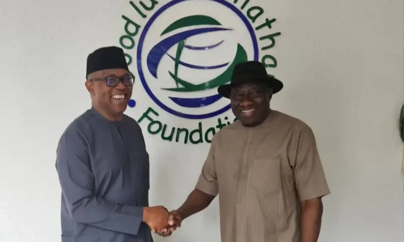 Peter Obi meets Jonathan in Abuja to discuss ‘state of the nation’