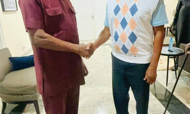 2027: Goodluck Jonathan meets ADC Chairman, David Mark