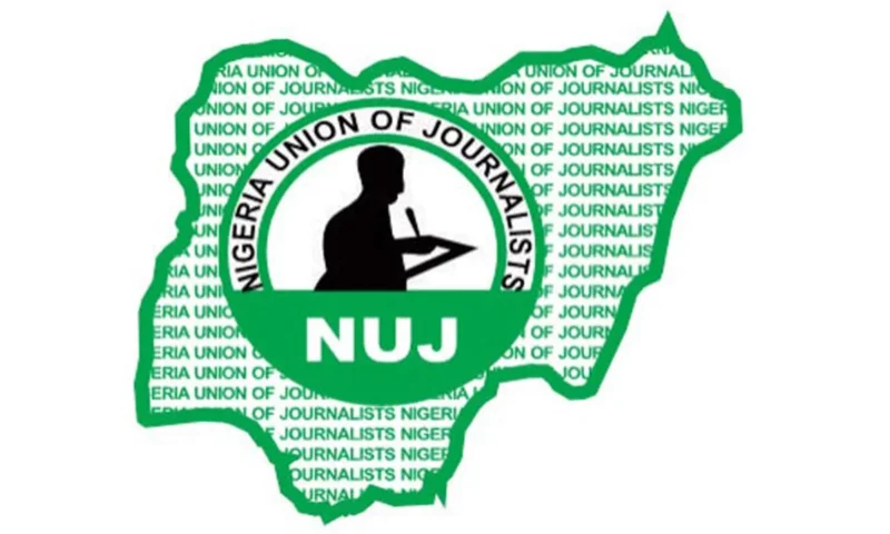 Rising food prices worsening chronic illness among Nigerians – NUJ