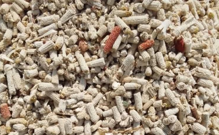 Turning Farm Waste into Export Wealth