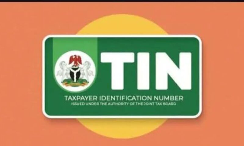 How to Get Your Tax Identification Number (TIN) by Yourself: A Step-by-Step Guide Before the 2026 Deadline