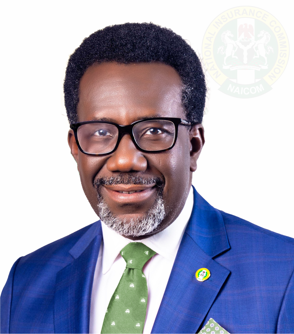 Omosehin Urges NCRIB President Ekeoma Ezeibe to Lead with Innovation, Integrity, and Inclusion
