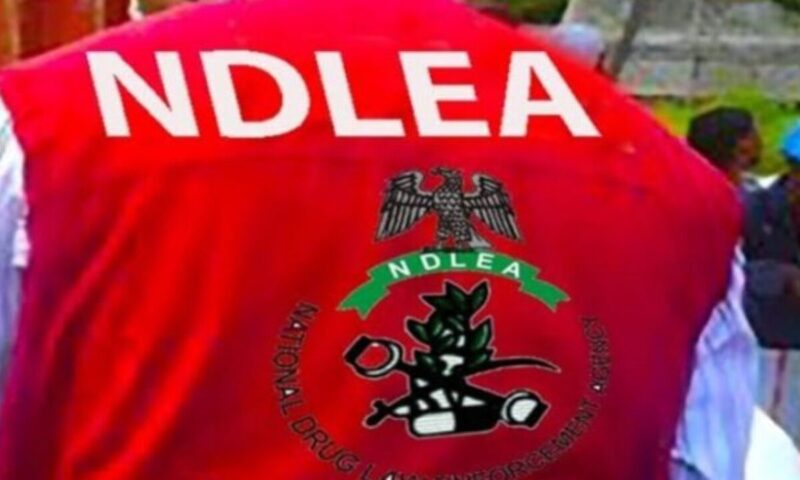NDLEA moves to tackle drug abuse, streamline visa clearance