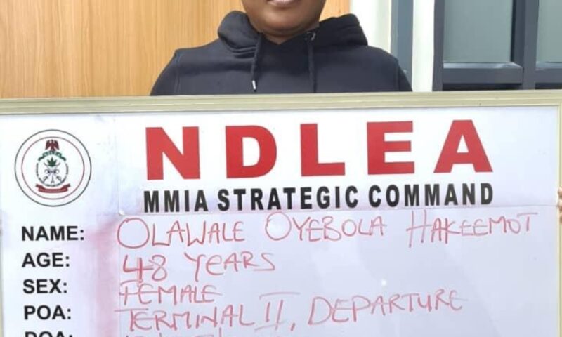 NDLEA Busts Global Drug Ring: Hard Drugs Hidden in Snails, Bulbs, Clothes Seized; 70,000kg Skunk Farms Destroyed