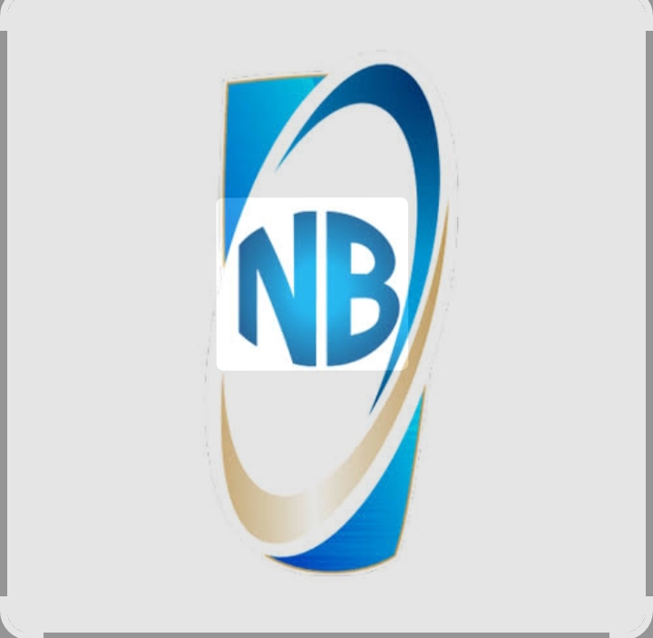 Nigerian Breweries Plc Surpasses N1.04 Trillion Revenue in Nine Months, Records 157% Profit Growth Despite Economic Headwinds