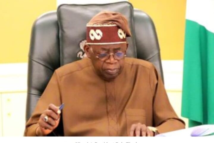 Taxing, Borrowing the Future Without Building: What Has Nigeria’s Fiscal Authority Done for the Real Sector?