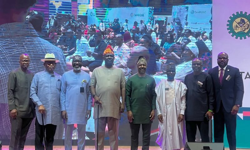 16-Year-old OAU Female Student Wins NCDMB Annual National Essay Competition