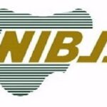 National Payment Stack completes first live transaction NIBSS-logo-1-750×375-1