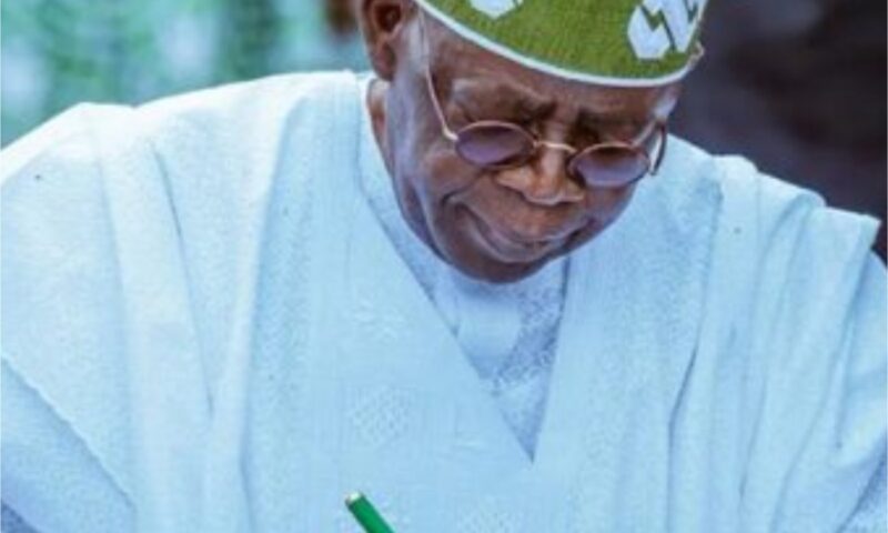 Tinubu appoints Nwabueze from Delta as tax ombudsman
