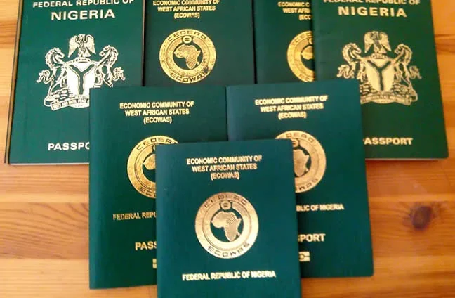 NIS announces temporary disruptions on passport platform