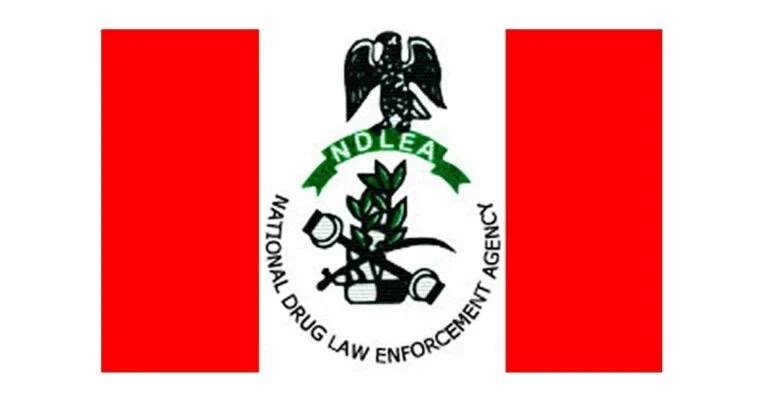 Sokoto NDLEA arrests 146, seizes illicit drugs