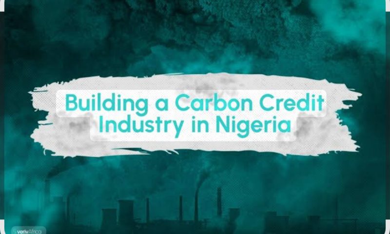 Nigeria Eyes $3bn Annual Carbon Trading Revenue by 2030 as Tinubu Unlocks Green Market Framework