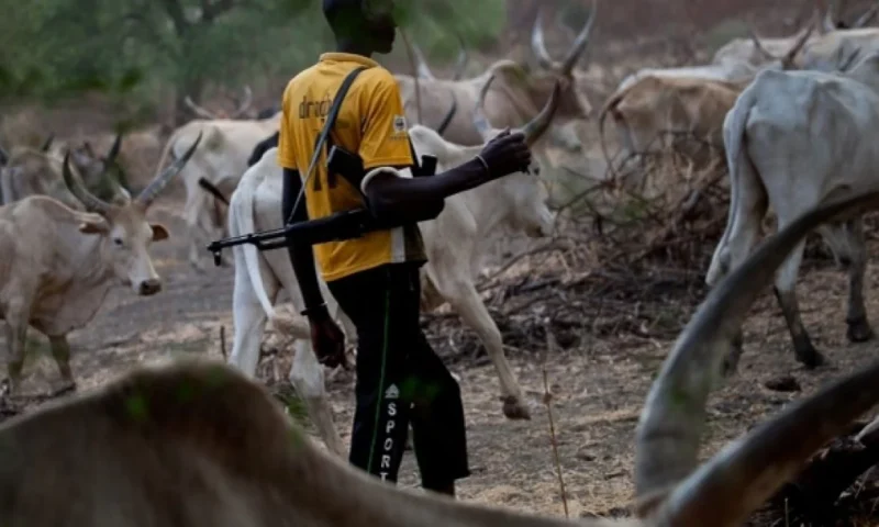 BREAKING: Suspected herdsmen hit Otukpo community, kill four, others missing