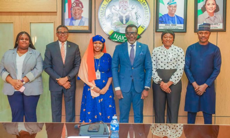 NAICOM, PEBEC Collaborate on BEEPA Accelerator to Boost Government Service Delivery