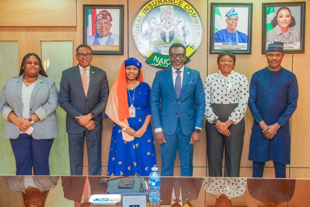 NAICOM, PEBEC Collaborate on BEEPA Accelerator to Boost Government ...