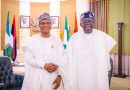Governor Uba Sani briefs Tinubu on rescue of abducted Kaduna worshippers
