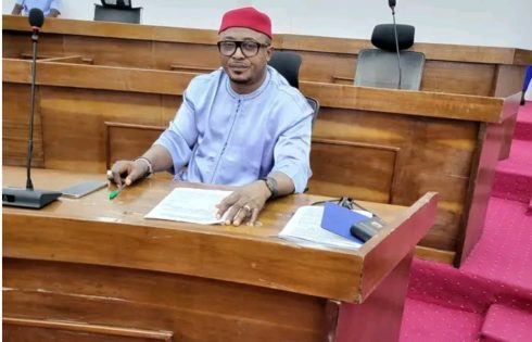 Abia lawmaker cries out as gunmen kill two in constituency, steal motorcycle