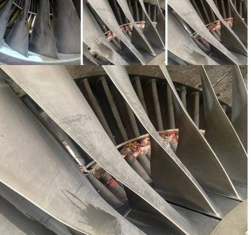 Second Bird Strike in 24 Hours Grounds United Nigeria Airlines Aircraft, Disrupts Flights