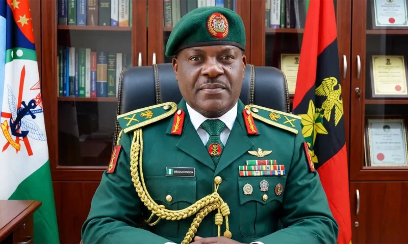 DHQ reviewing rehabilitation program for repentant insurgents – Onoja