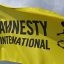 Amnesty International accuses DSS of targeting critics of US, Israel