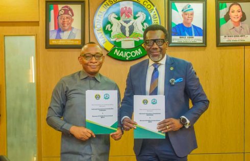 NAICOM, BPP Seal Deal to Strengthen Insurance Compliance in Public Contracts