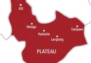 Plateau residents in shock as aborted twin babies found at refuse dump