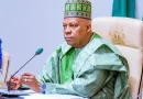 ADC membership flooded with fake identities – VP Shettima slams opposition