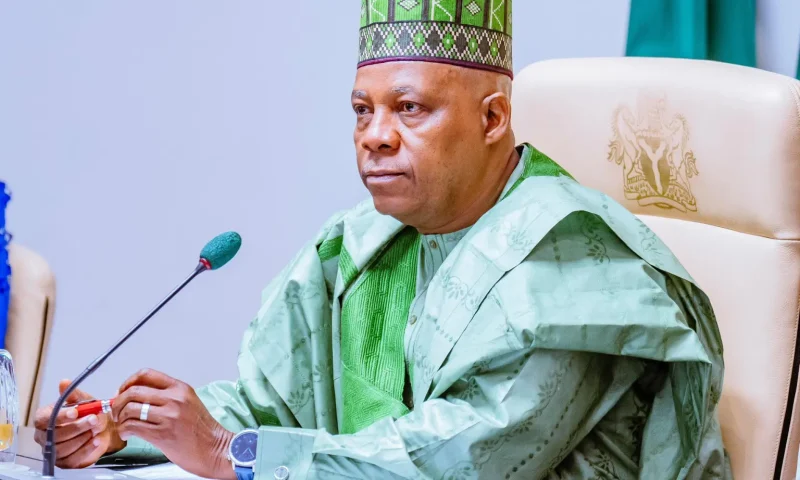 ADC membership flooded with fake identities – VP Shettima slams opposition