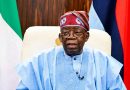 Tinubu renews NIPSS DG appointment