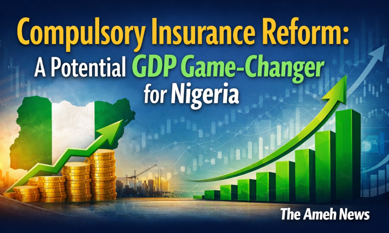 “Compulsory Insurance Reform: A Potential GDP Game-Changer for Nigeria”
