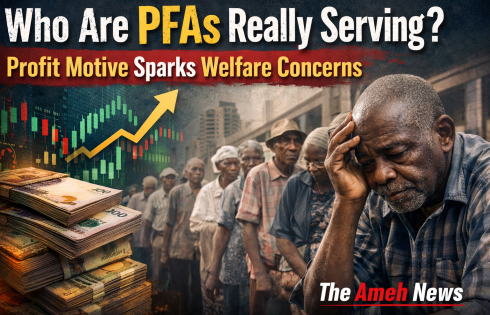 The Business of Retirement: ₦4trn Equity Surge Raises Question—Who Is the Pension Industry Really Serving?