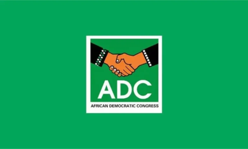 One party, two chairmen: Inside Ogun ADC’s power tussle