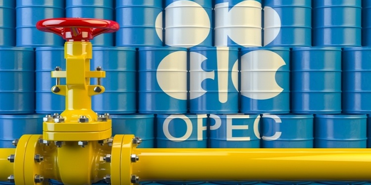 OPEC weakened by UAE exit, analysts warn FG