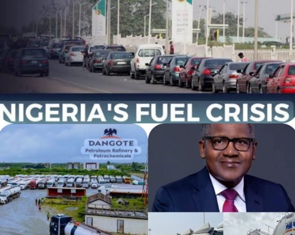 Nigeria’s Fuel Policy Crisis Deepens as Expert Faults World Bank, Cites Legal Breach