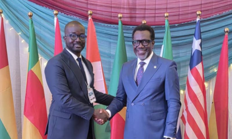 Omosehin Urges Practical Solutions to Secure Future of Brown Card Scheme