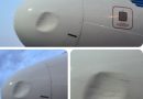 United Nigeria Airlines Hits Sixth Bird Strike in 2026, Grounds Airbus A320 After Abuja Landing Incident