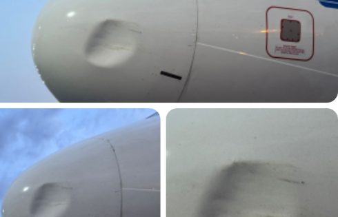 United Nigeria Airlines Hits Sixth Bird Strike in 2026, Grounds Airbus A320 After Abuja Landing Incident