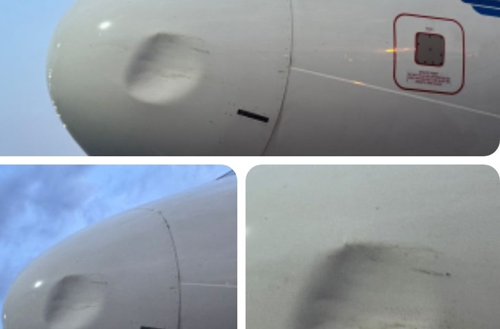 United Nigeria Airlines Hits Sixth Bird Strike in 2026, Grounds Airbus A320 After Abuja Landing Incident