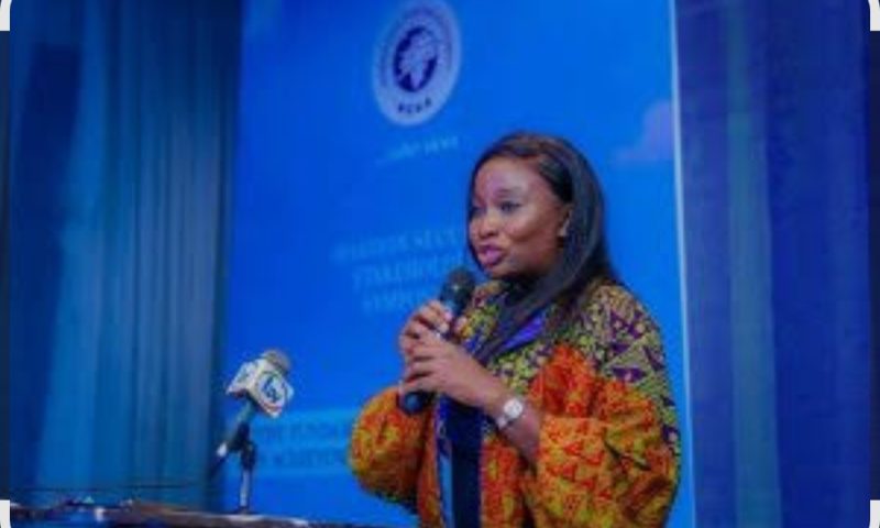 FAAN MD Projects Strong Export Growth as Nigeria-UK Trade Hits £8.1bn