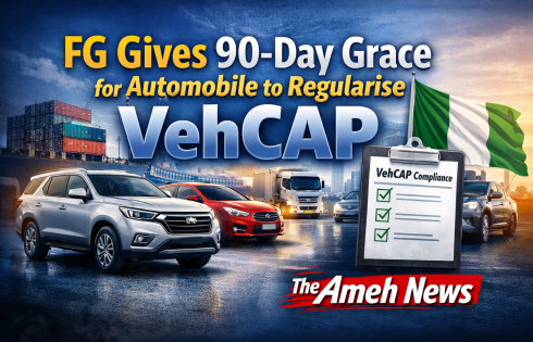 FG Opens 90-Day Compliance Window for Vehicles Amid VehCAP Enforcement Push