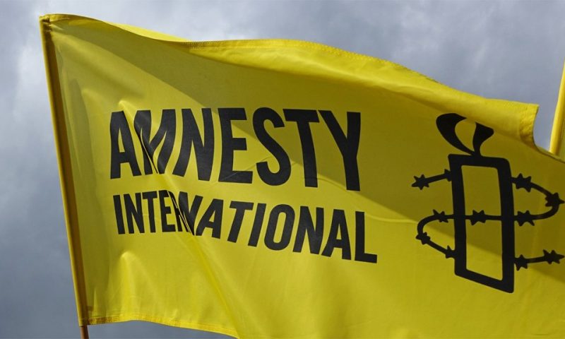 Amnesty International demands probe into civilian deaths in Niger airstrike