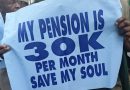 NPA Pensioners Protest at Headquarters Over 16-Year Unpaid Entitlements, Accuse Management of Silence