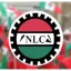 NLC urges Bauchi govt to clear gratuities, improve workers’ welfare