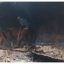 Nigerian Navy dismantles reconstructed illegal refinery