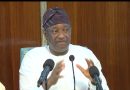 FG Unveils Aircraft Leasing Company to Strengthen Airlines, Cut Flight Delays in Nigeria