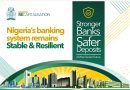 Stronger Banks Safer Depositors -CBN