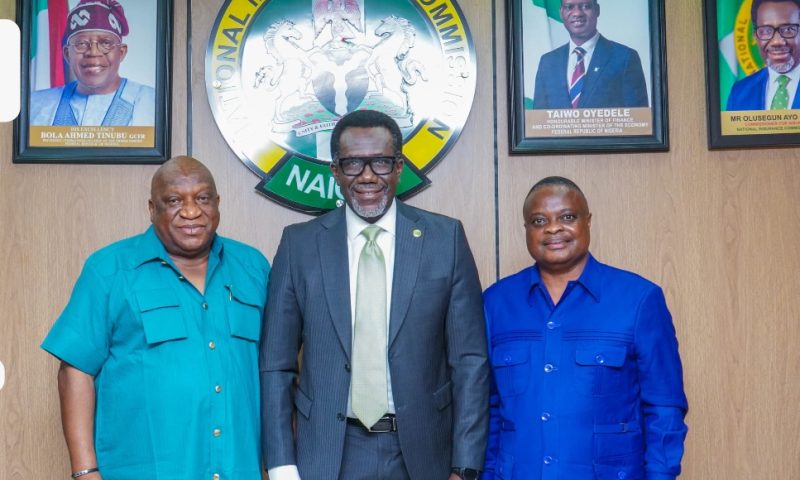NAICOM, ECOWAS Leaders Push Digital Upgrade for Brown Card Scheme to Boost Cross-Border Trade