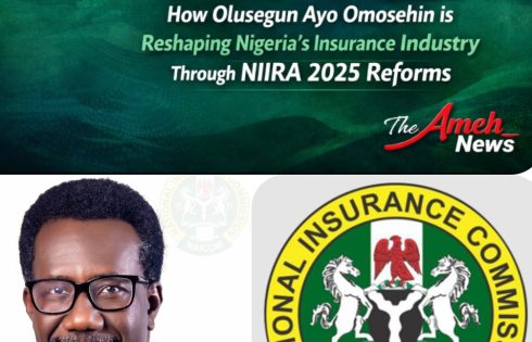 Olusegun Ayo Omosehin’s Two-Year Leadership at NAICOM Reshapes Nigeria’s Insurance Regulatory Landscape