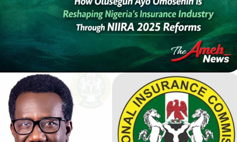 Olusegun Ayo Omosehin’s Two-Year Leadership at NAICOM Reshapes Nigeria’s Insurance Regulatory Landscape