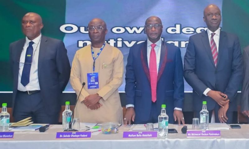 NAHCO Holds Virtual AGM, Maintains Dividend Payout, Targets ₦300bn Revenue by 2029